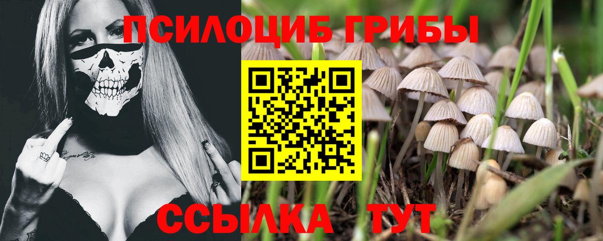 Галлюциногенные грибы Magic Shrooms Морозовск